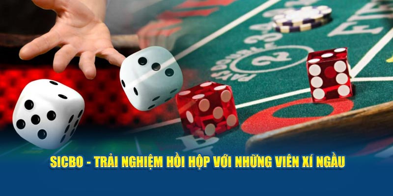 Sicbo - Trải nghiệm hồi hộp với những viên xí ngầu