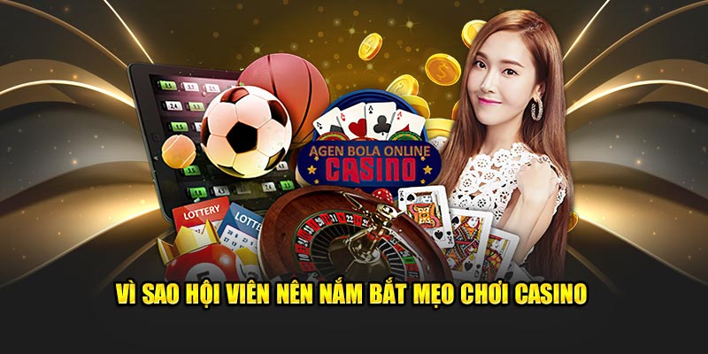 vi-sao-hoi-vien-nen-nam-bat-meo-choi-casino